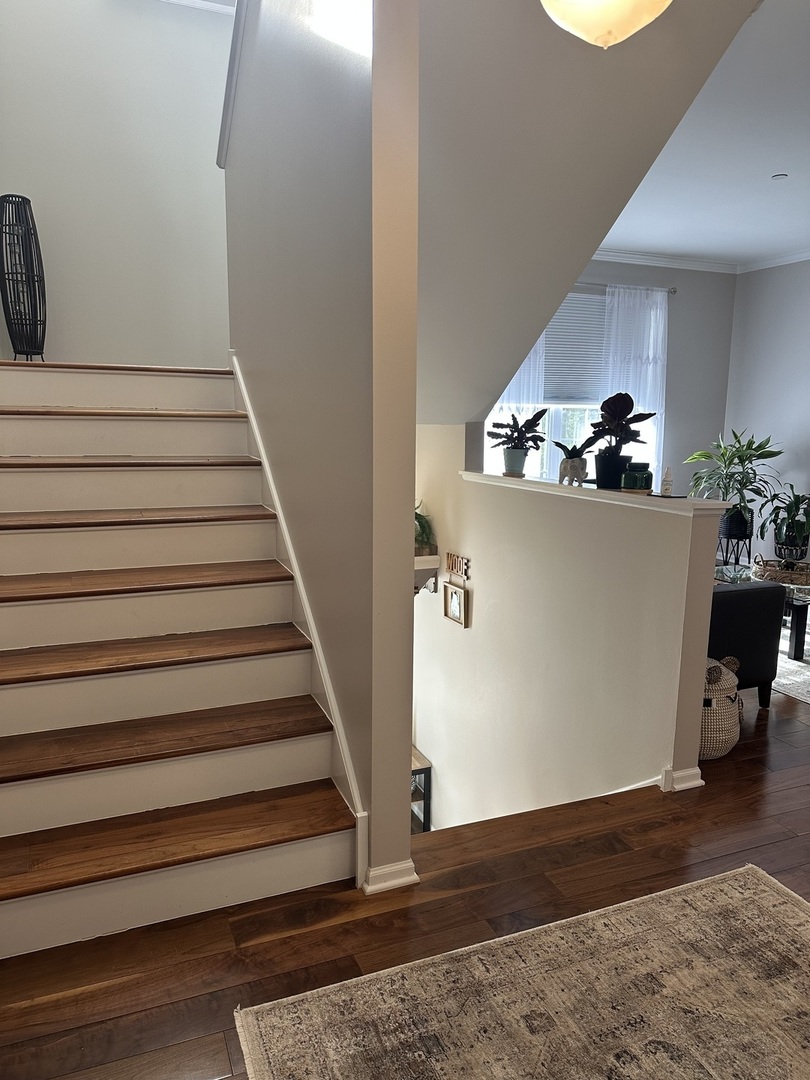 Gallery Image 18