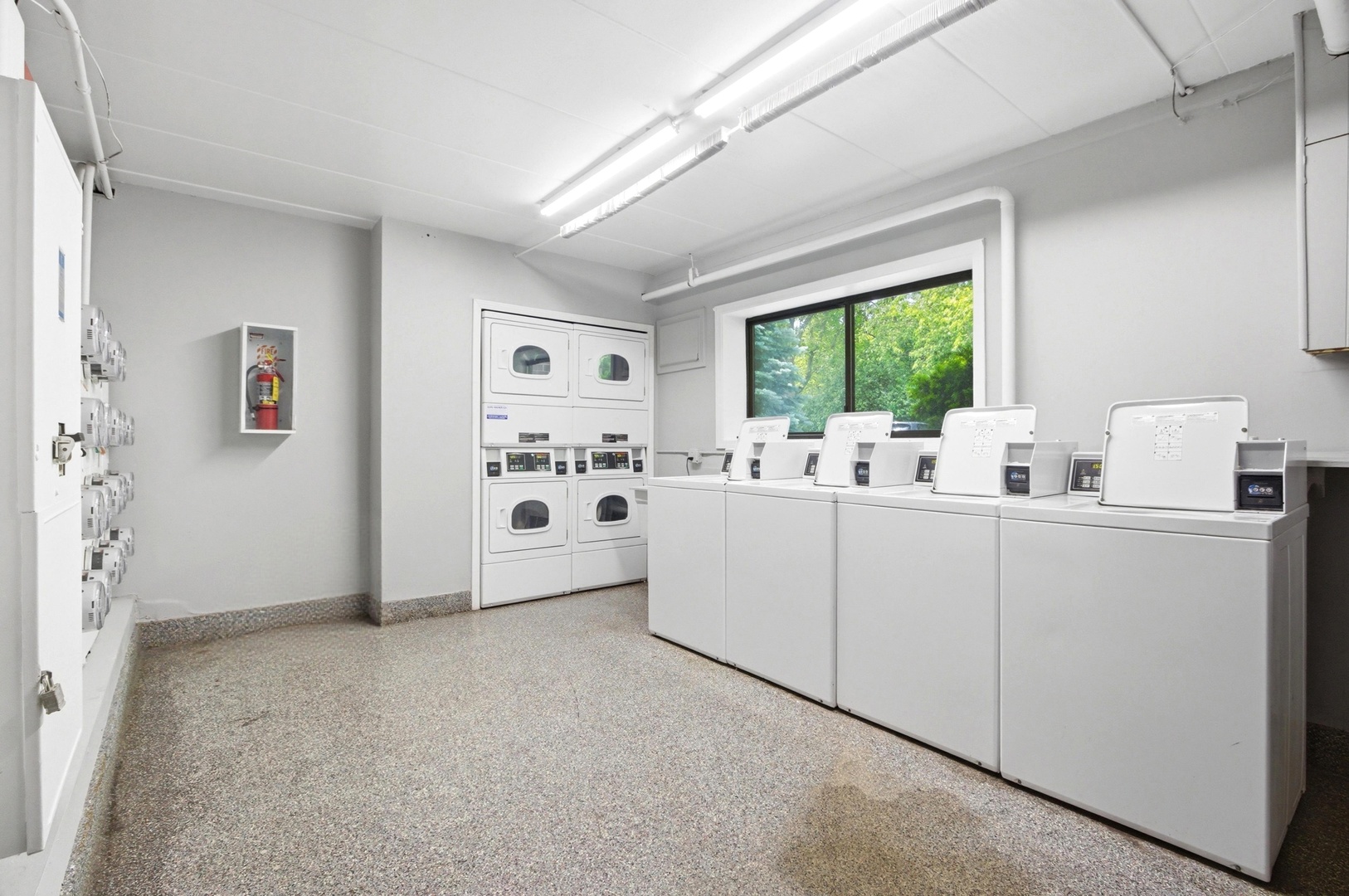 Gallery Image 16