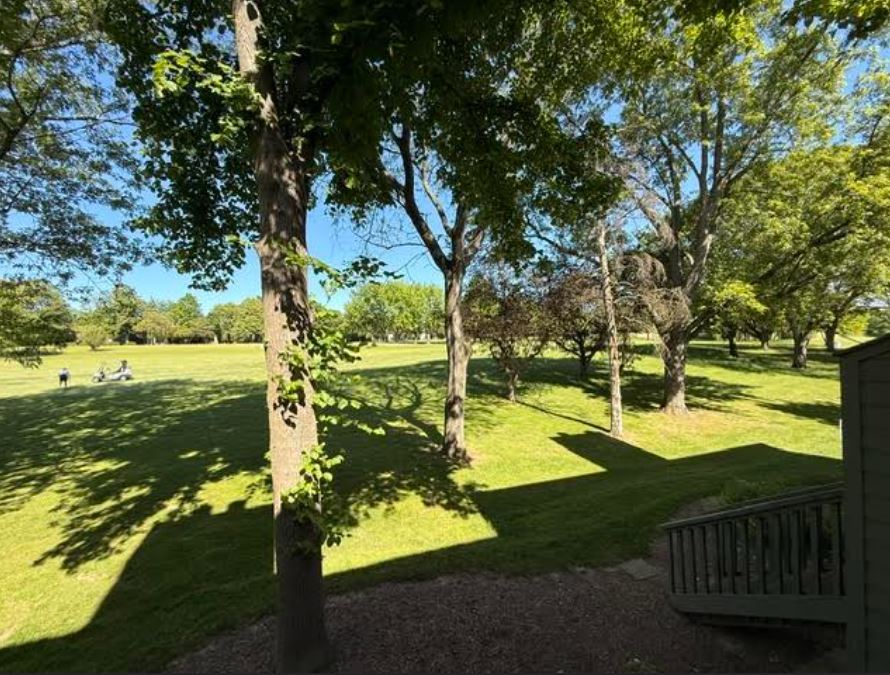 Gallery Image 13
