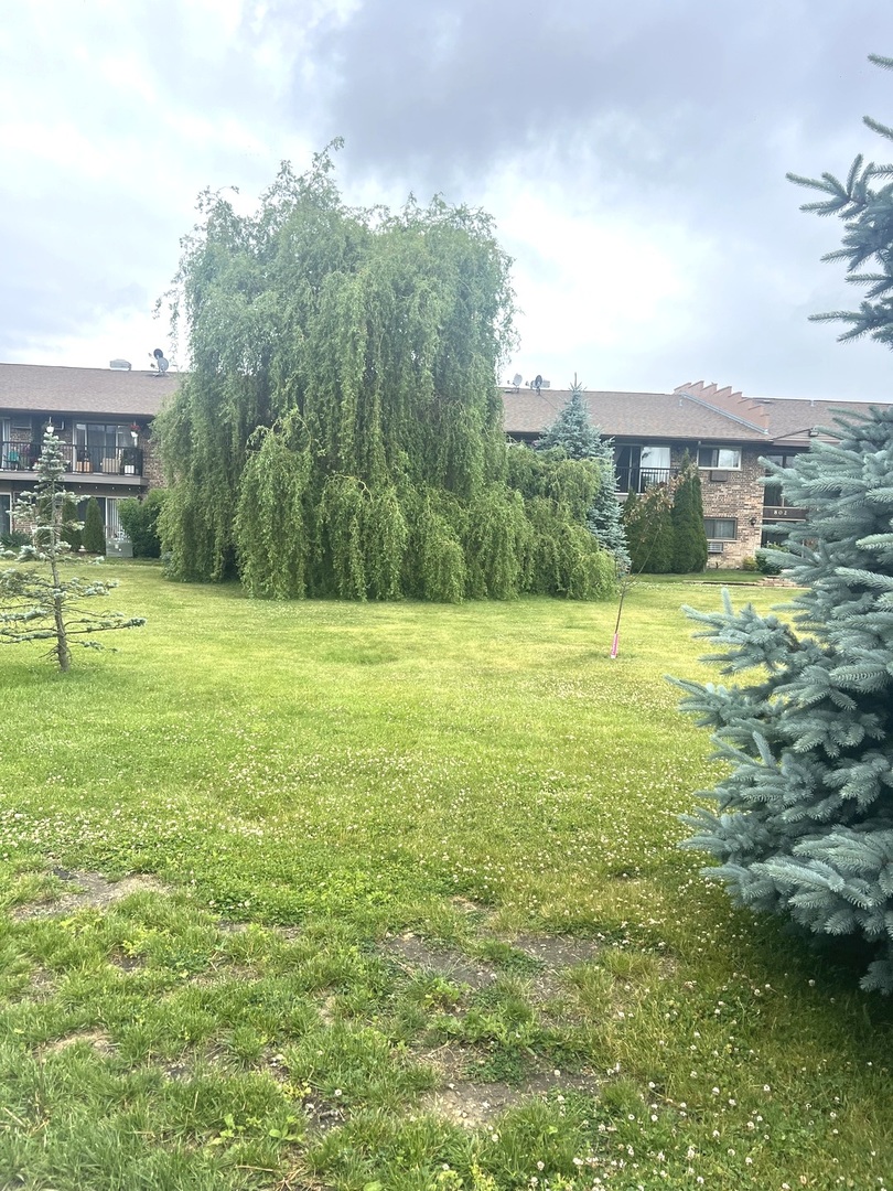 Gallery Image 42