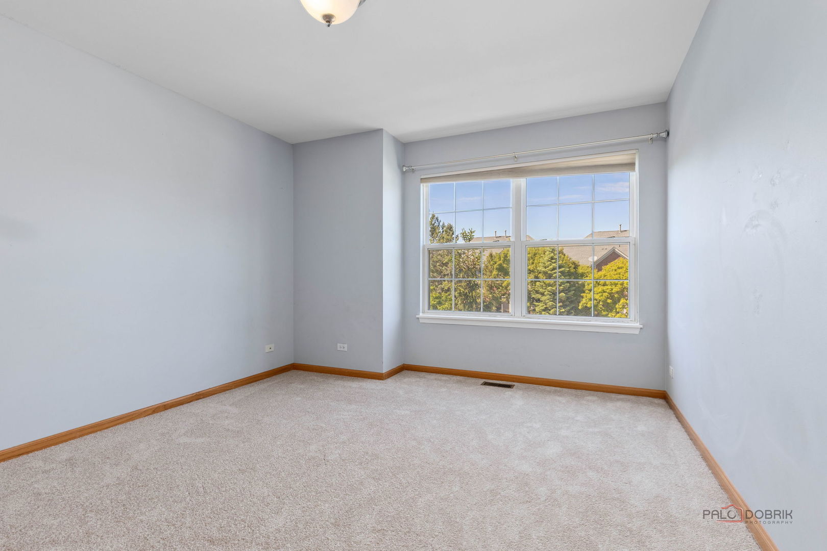 Gallery Image 19