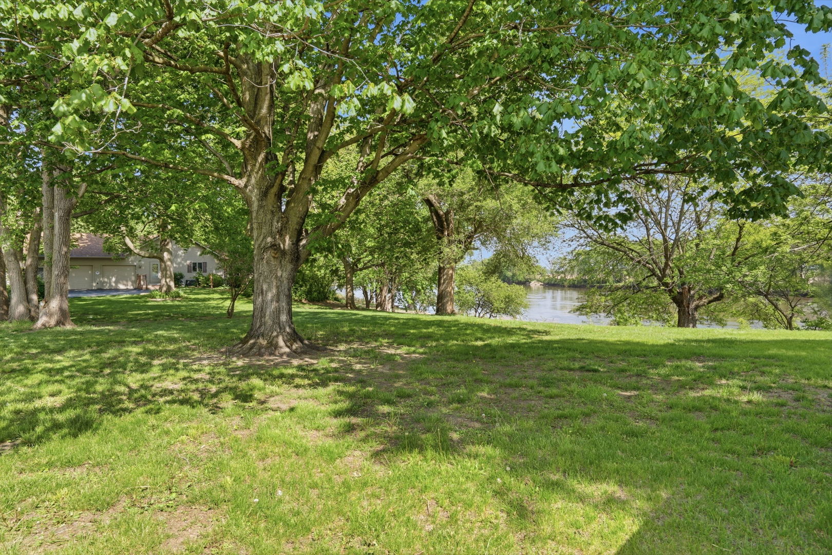 Gallery Image 22
