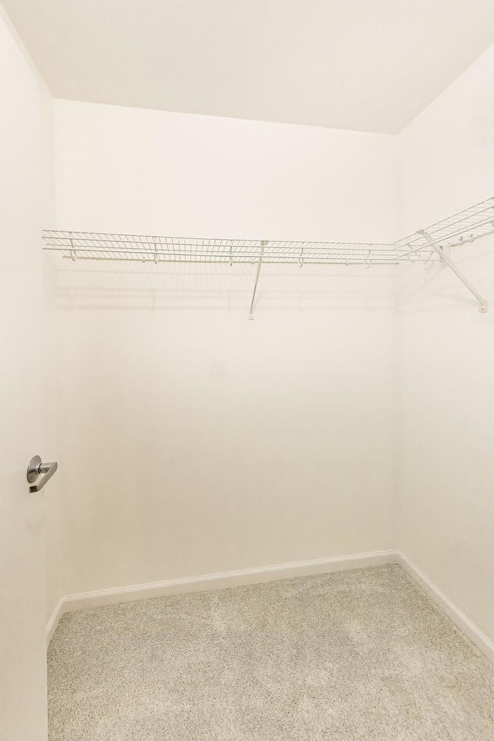Gallery Image 19