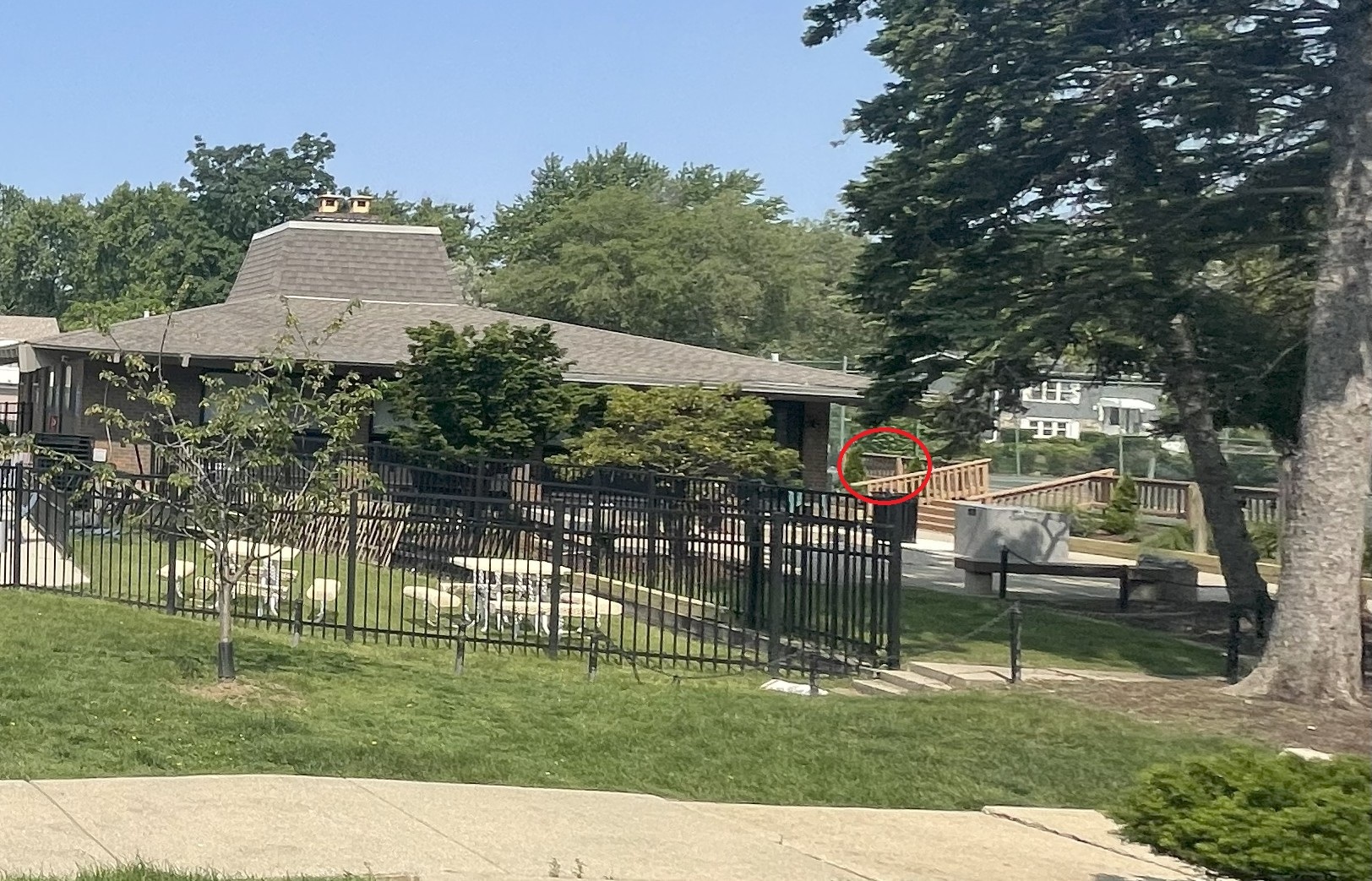 Gallery Image 17