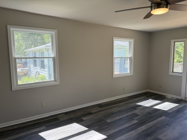 Gallery Image 20