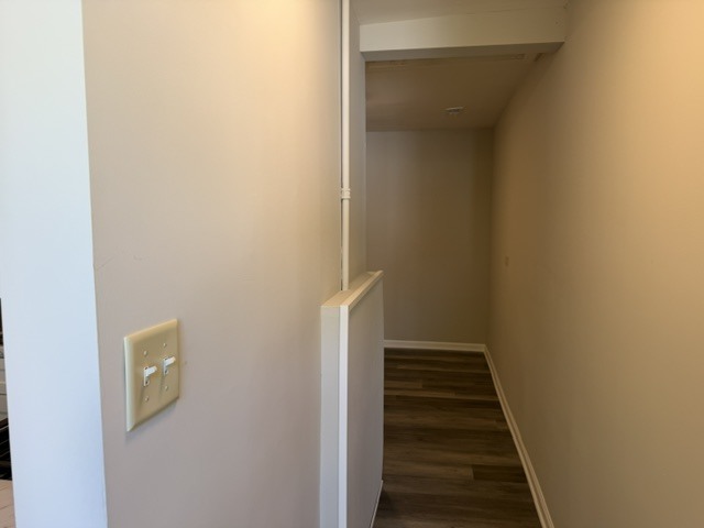 Gallery Image 41