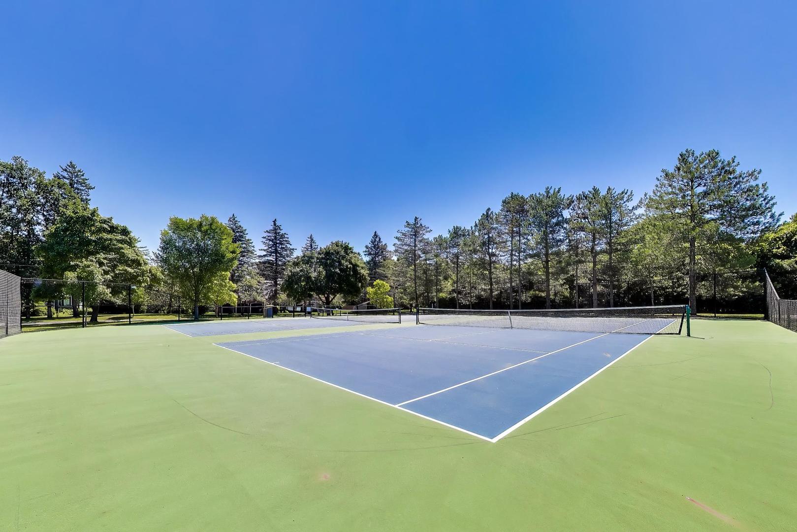 Gallery Image 56