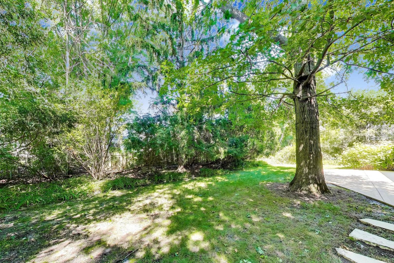 Gallery Image 49