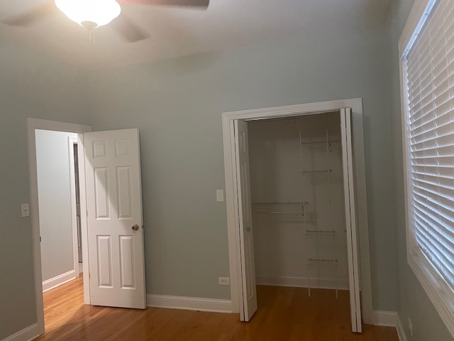 Gallery Image 16