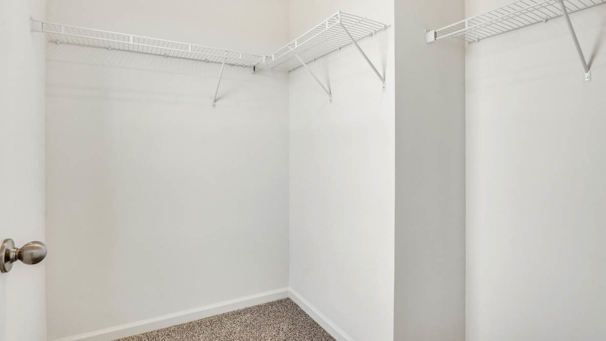 Gallery Image 19