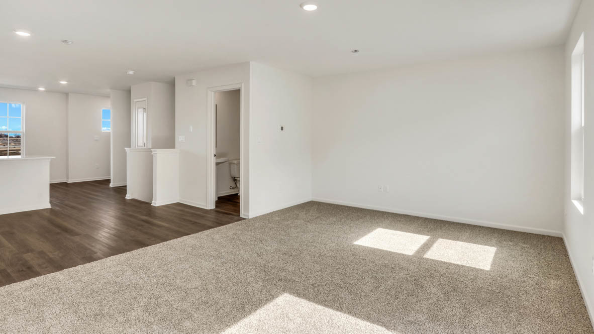 Gallery Image 15