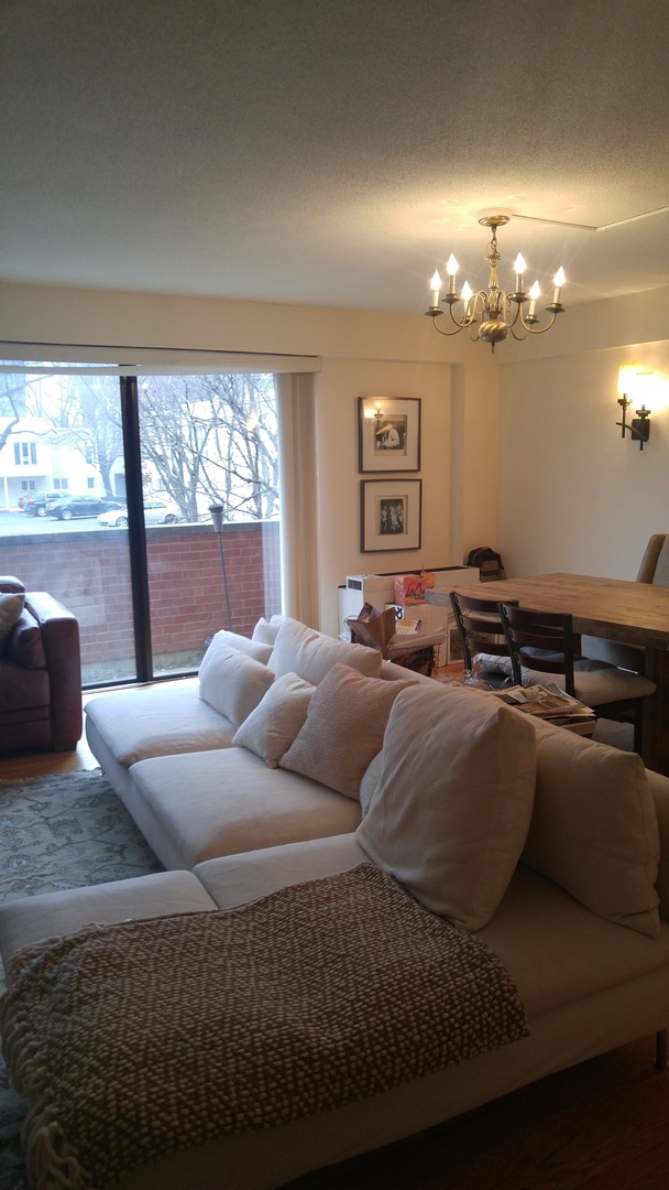 Gallery Image 15