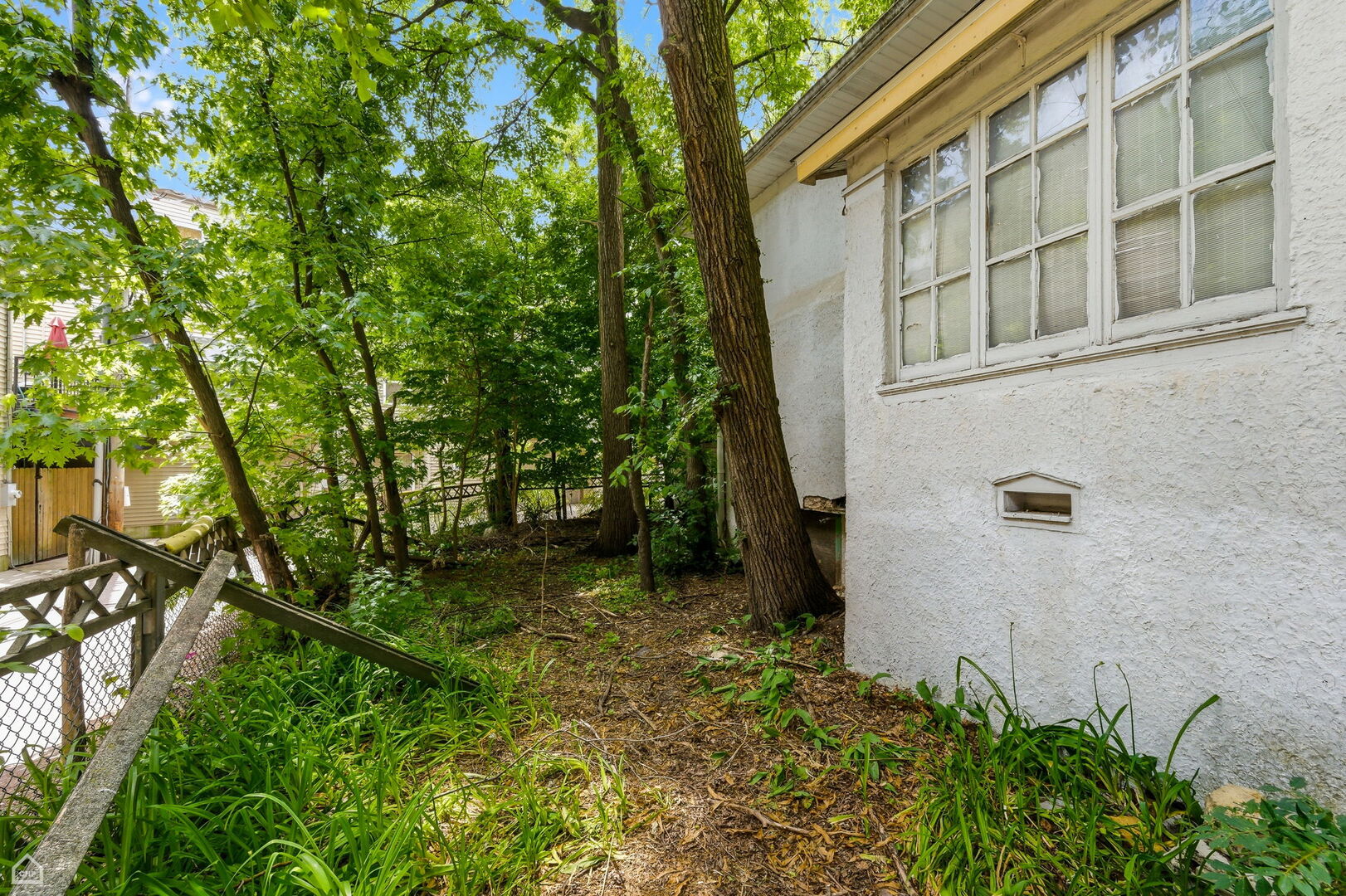 Gallery Image 18
