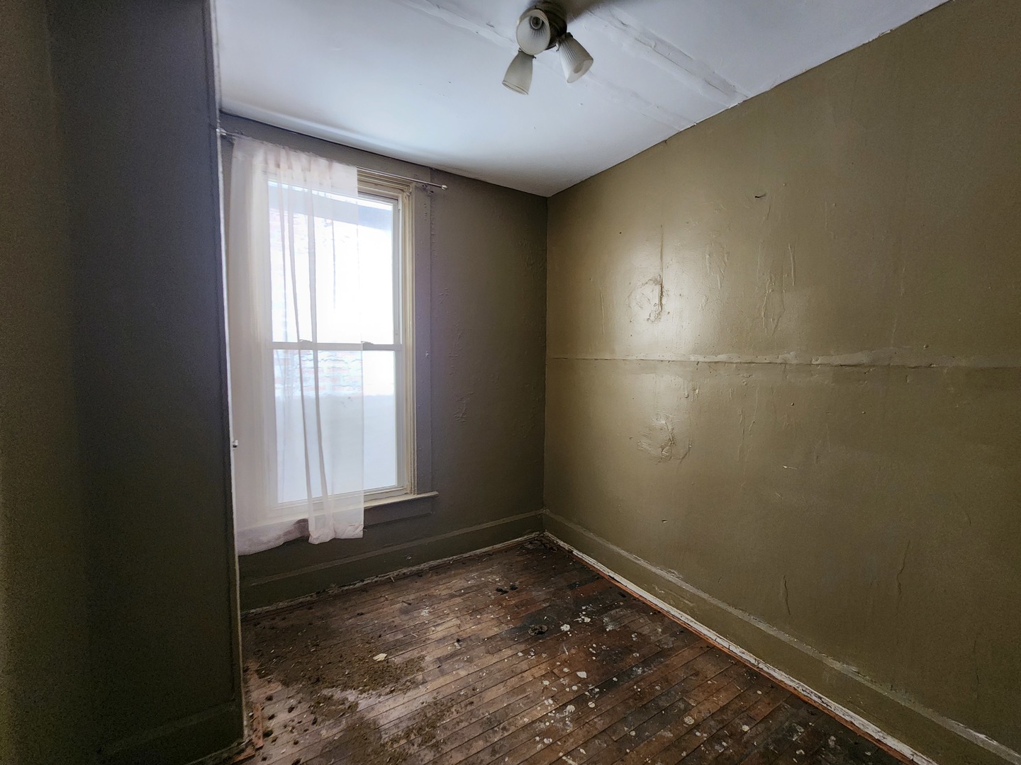 Gallery Image 8