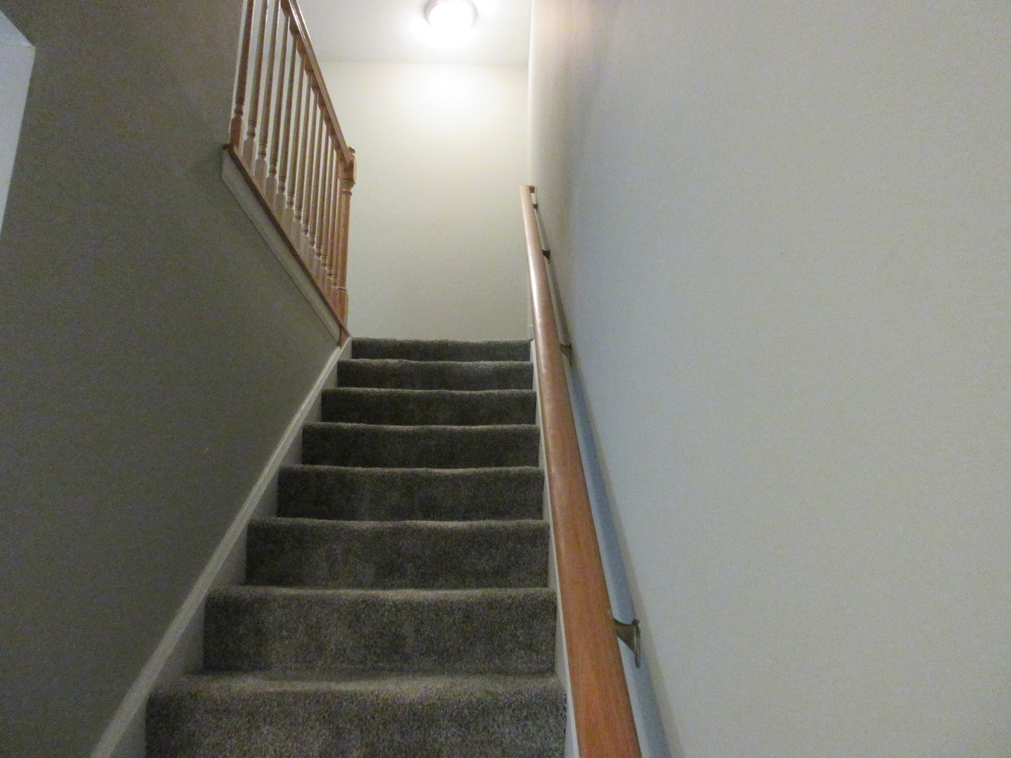 Gallery Image 20