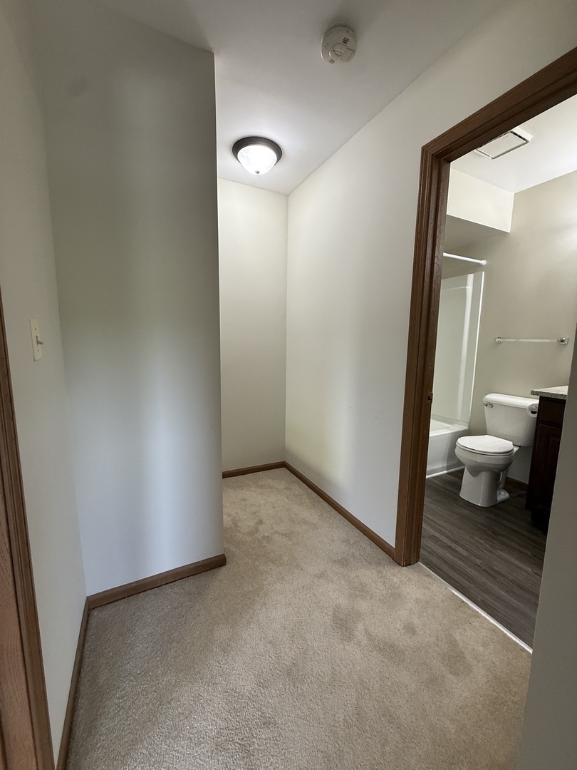 Gallery Image 19