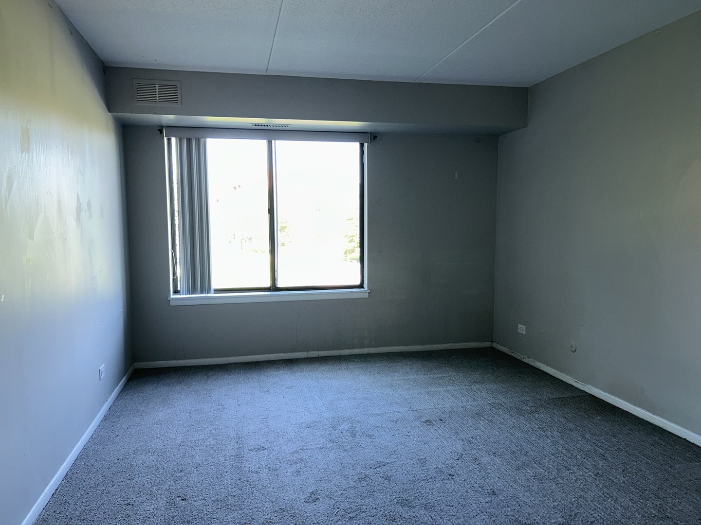 Gallery Image 23