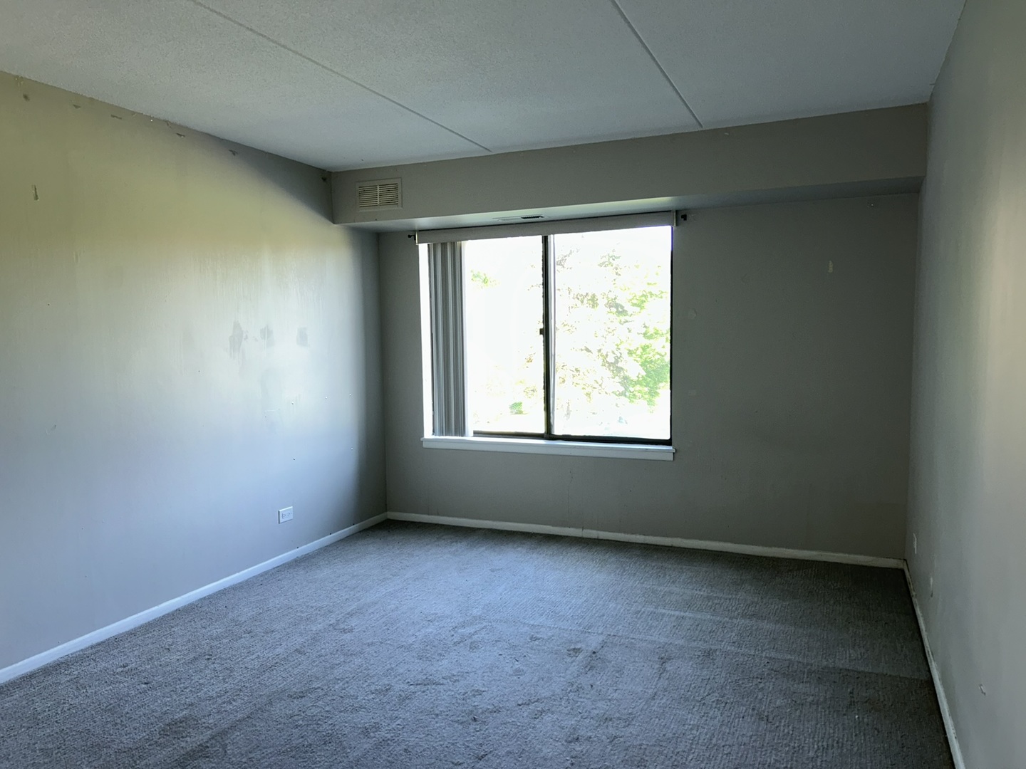 Gallery Image 20