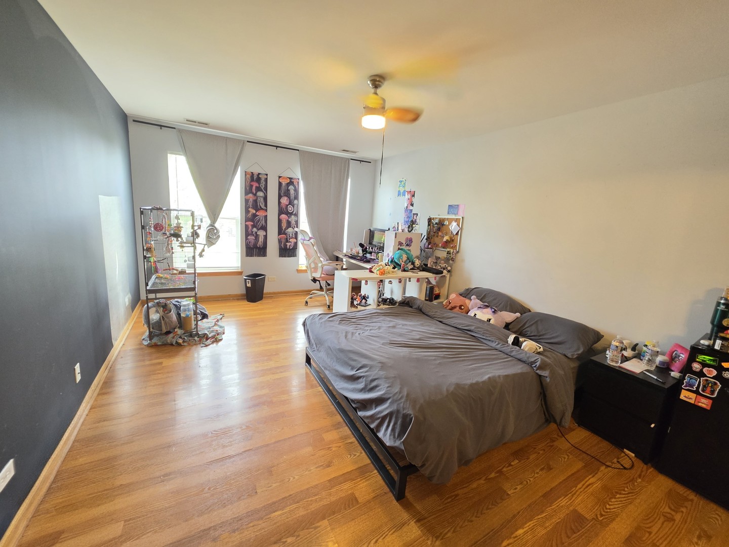 Gallery Image 10
