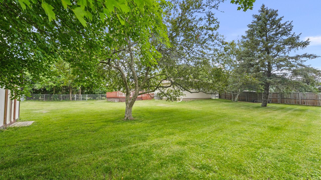 Gallery Image 55