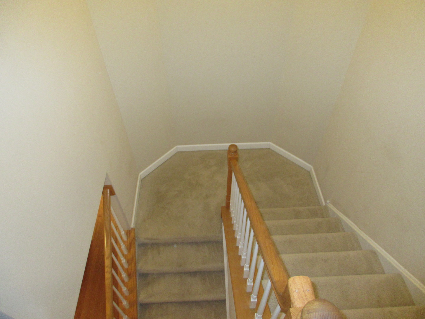 Gallery Image 33