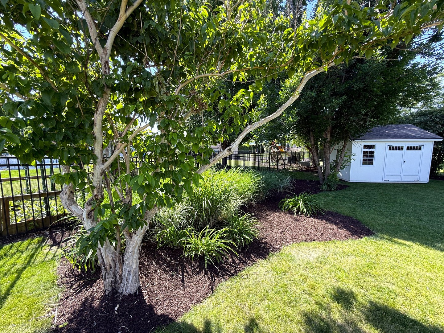 Gallery Image 35