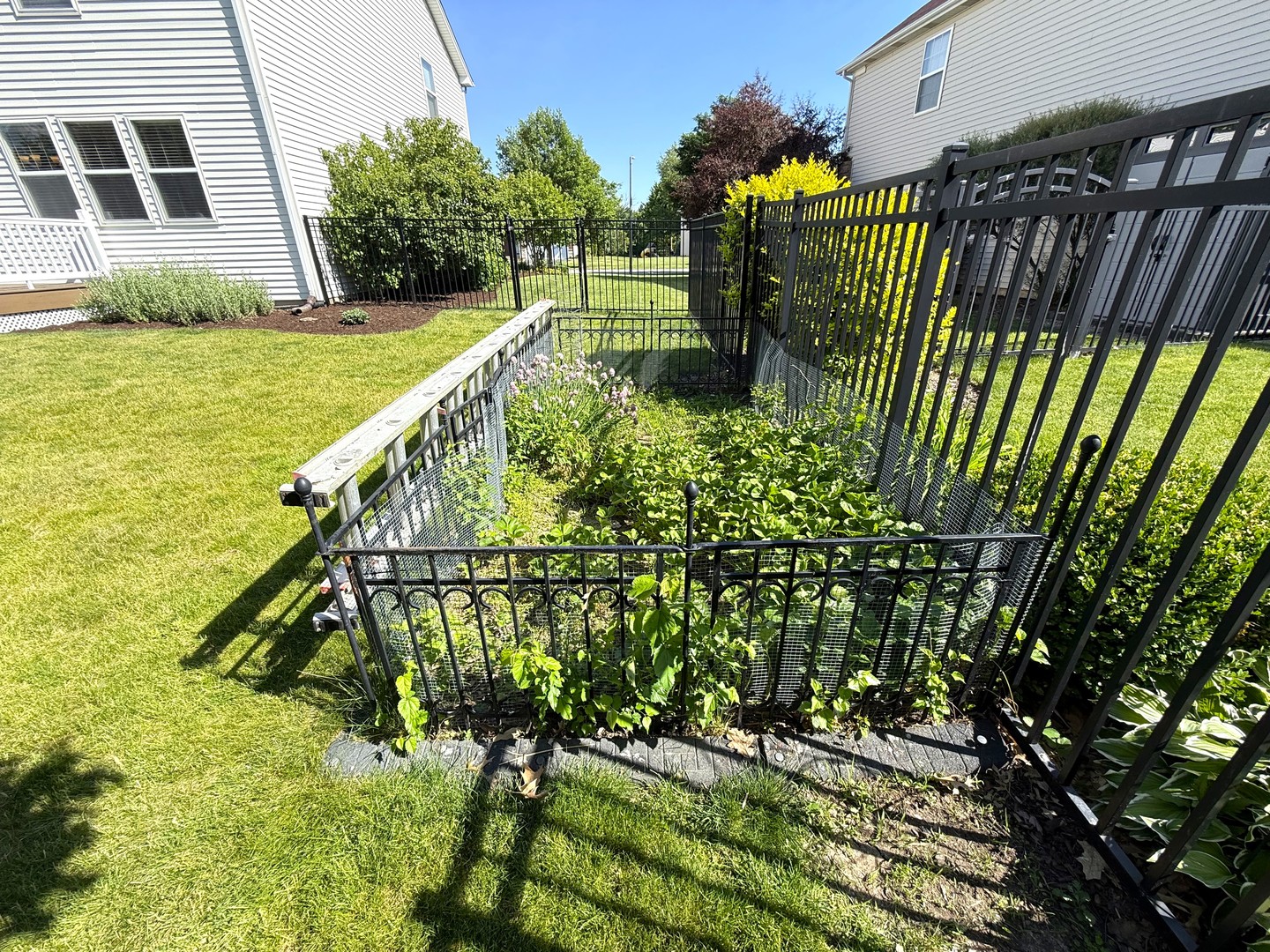 Gallery Image 31