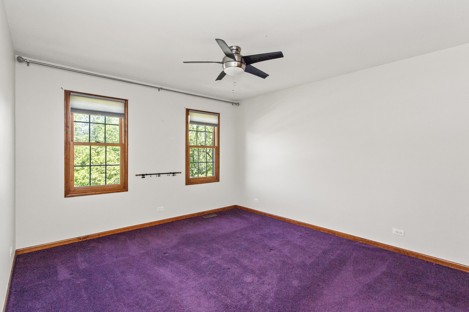 Gallery Image 19