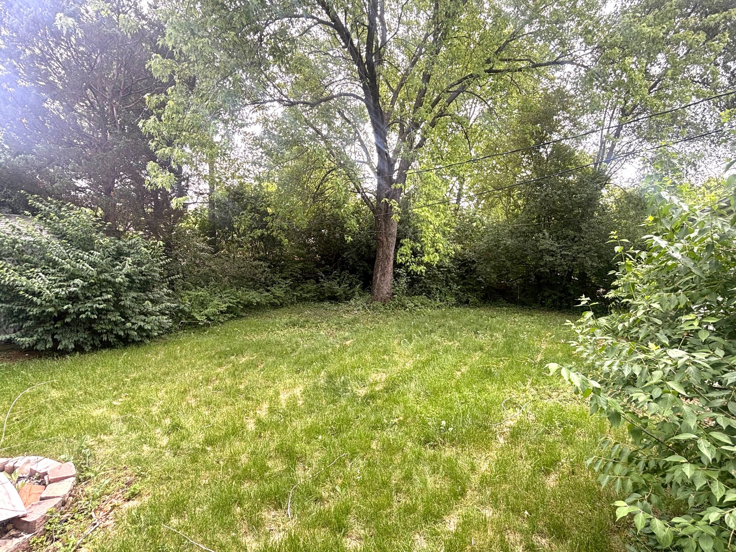 Gallery Image 8