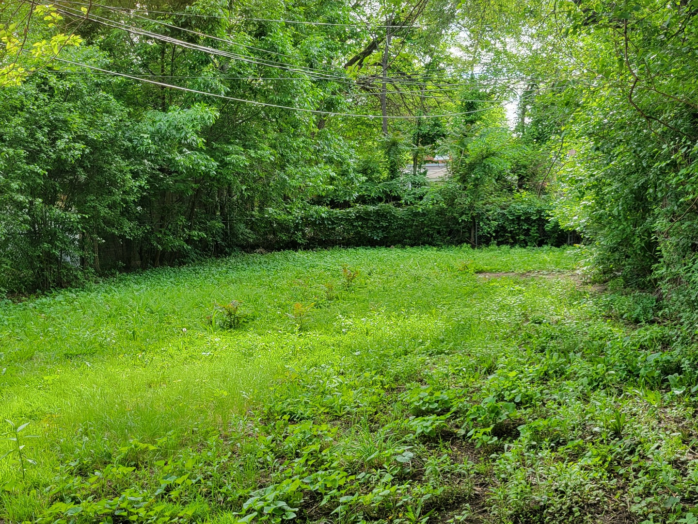 Gallery Image 20