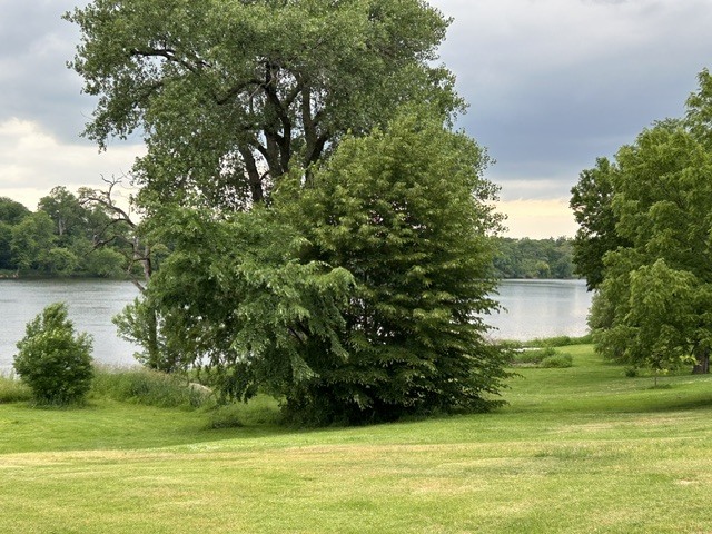 Gallery Image 29