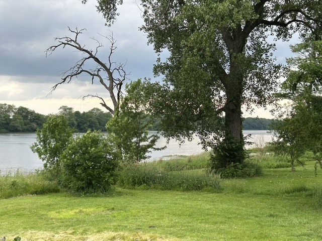 Gallery Image 31
