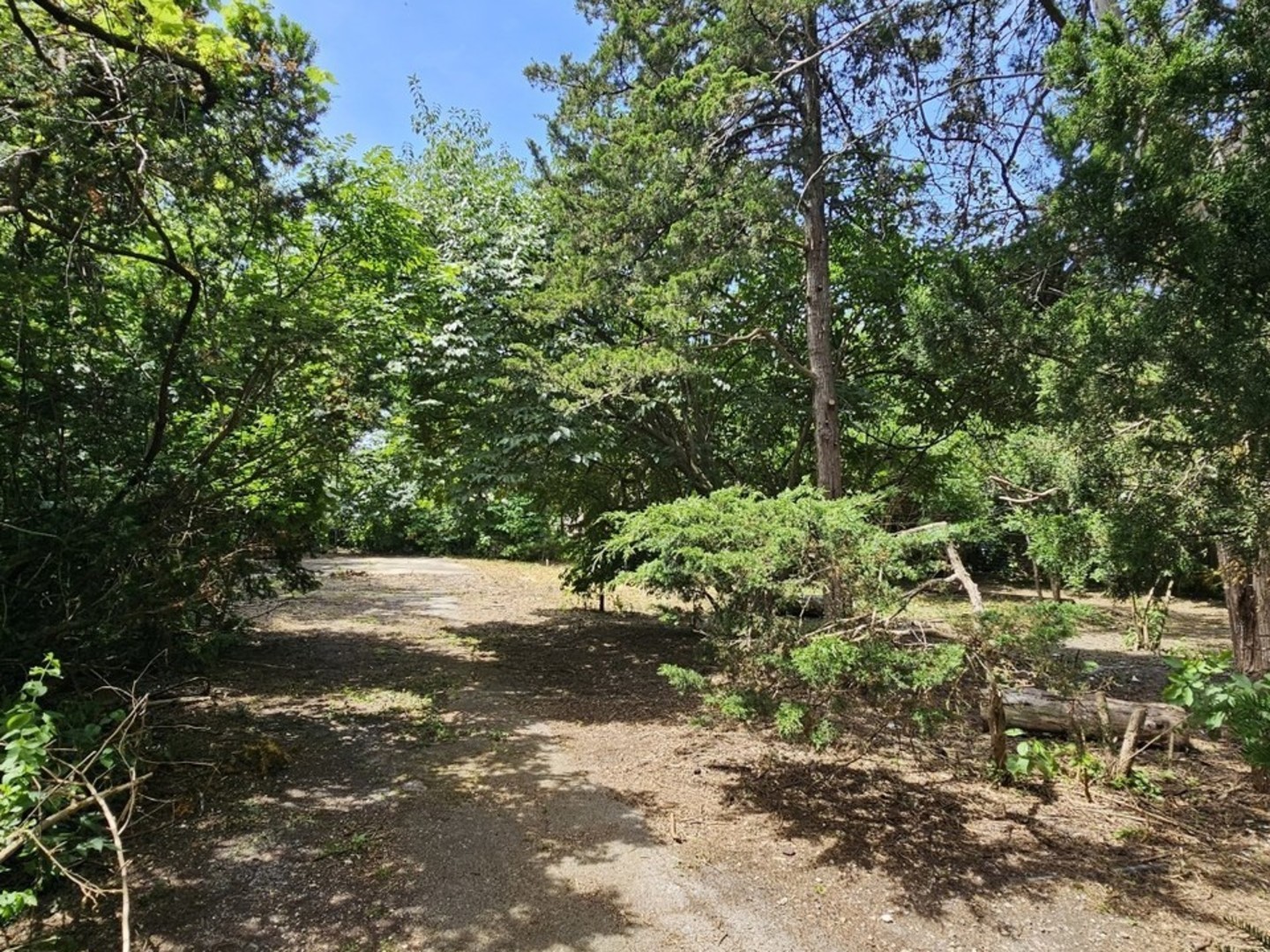 Gallery Image 10