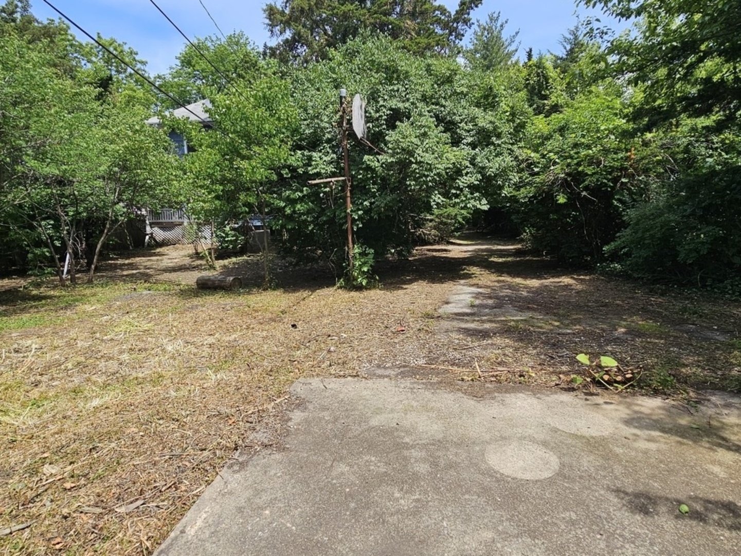 Gallery Image 9