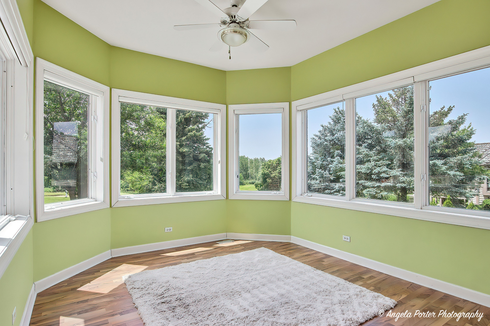 Gallery Image 15