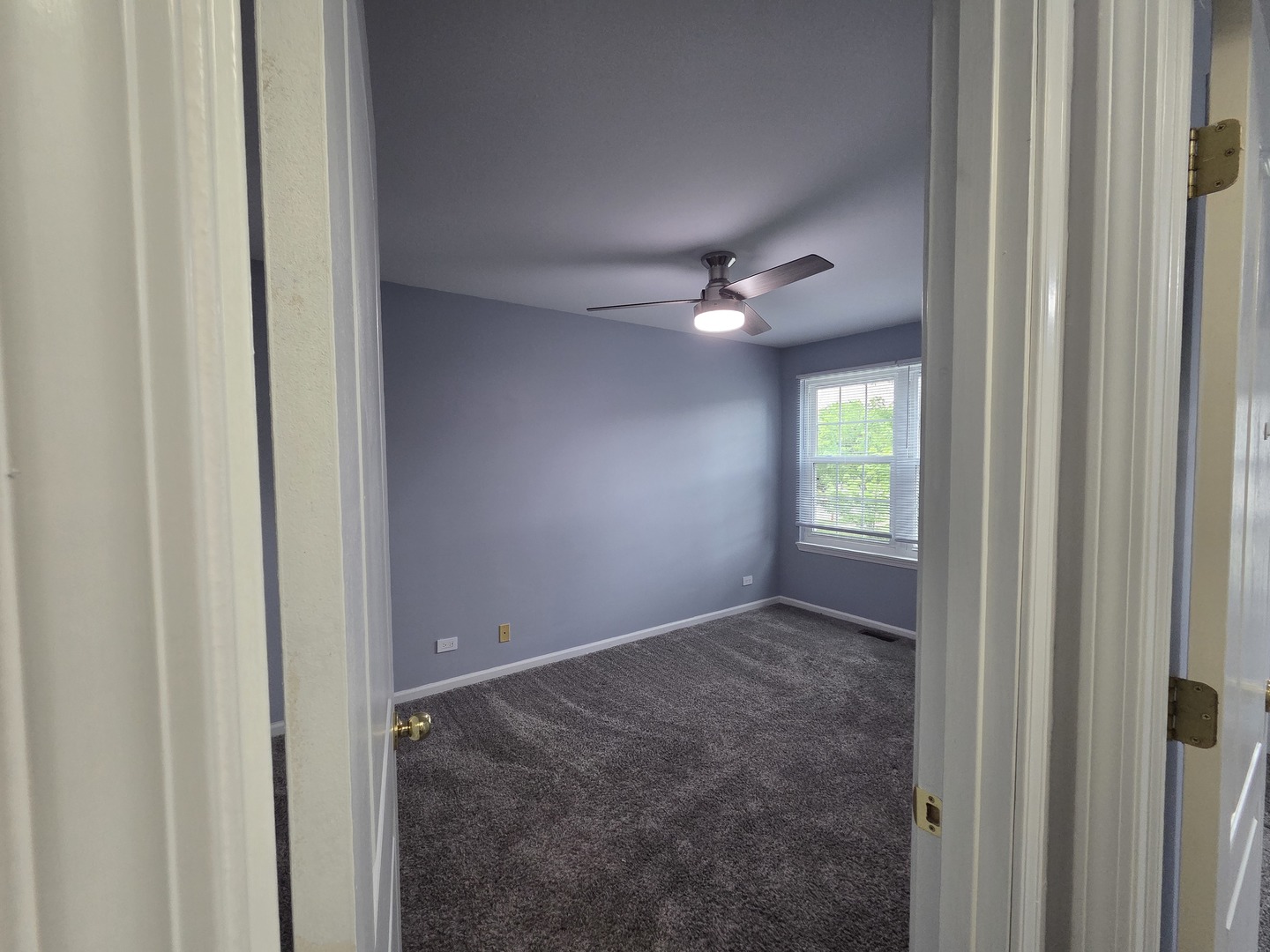 Gallery Image 15