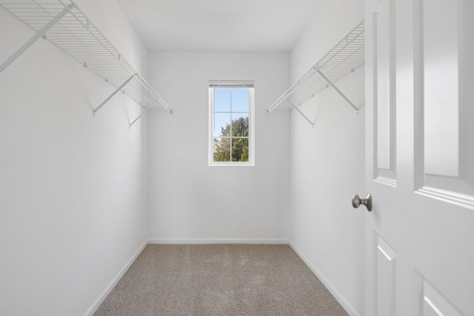 Gallery Image 18