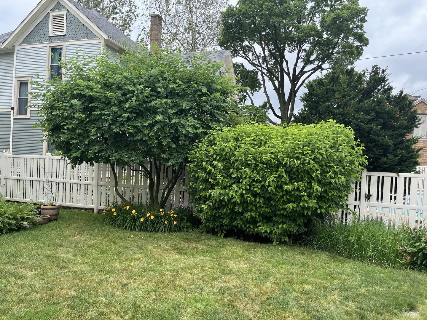 Gallery Image 36