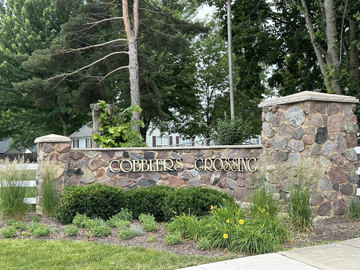Gallery Image 25