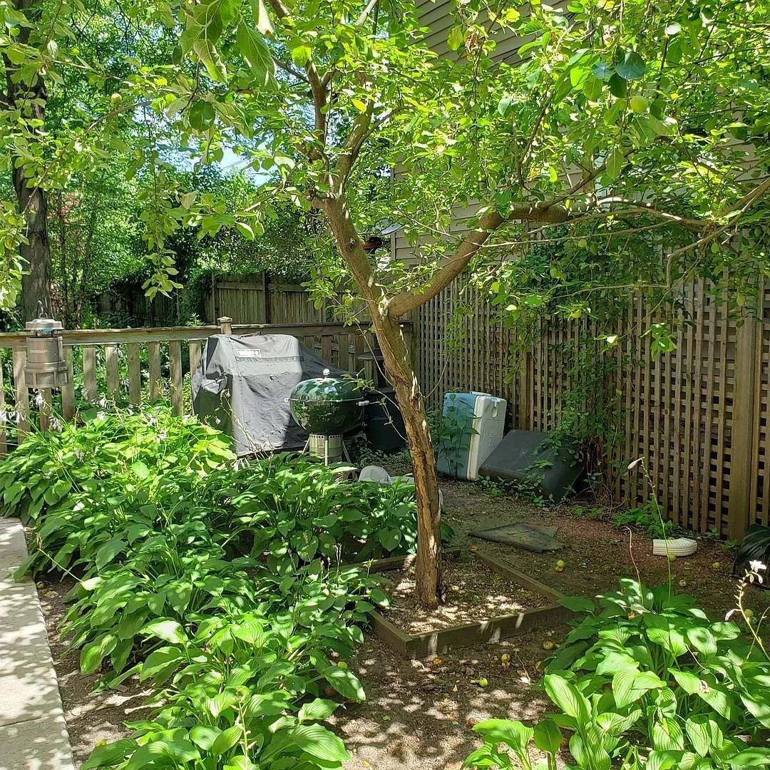 Gallery Image 13