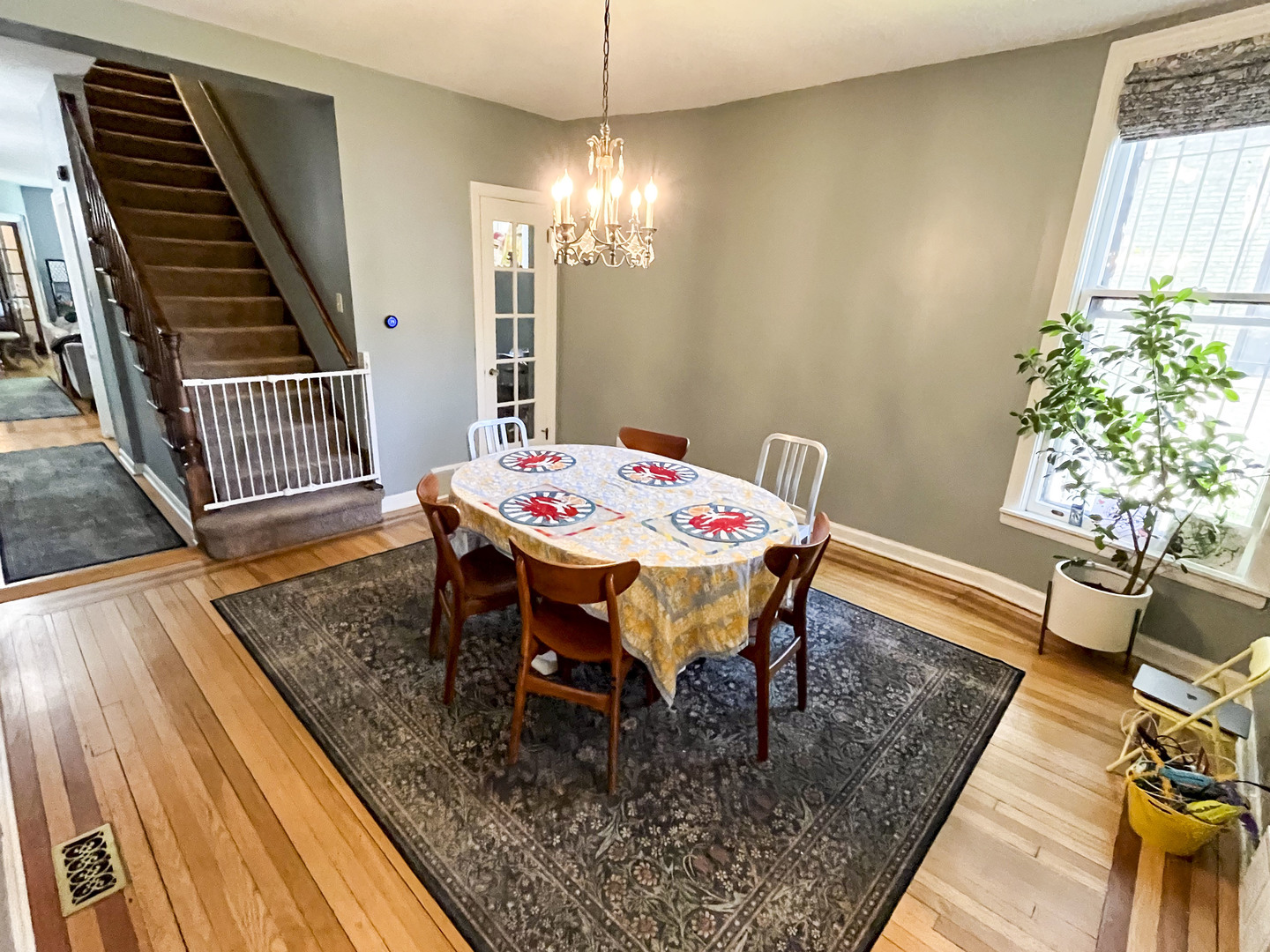 Gallery Image 12