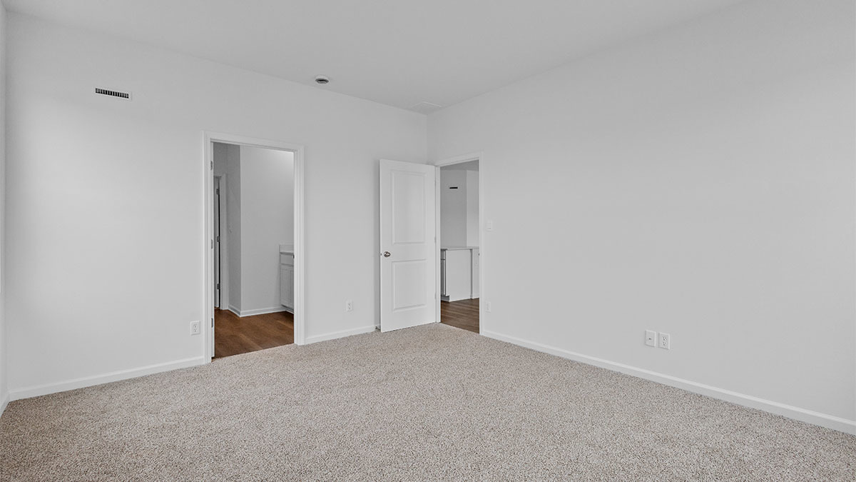Gallery Image 20