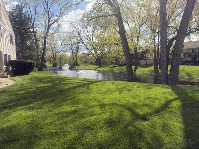 Gallery Image 12