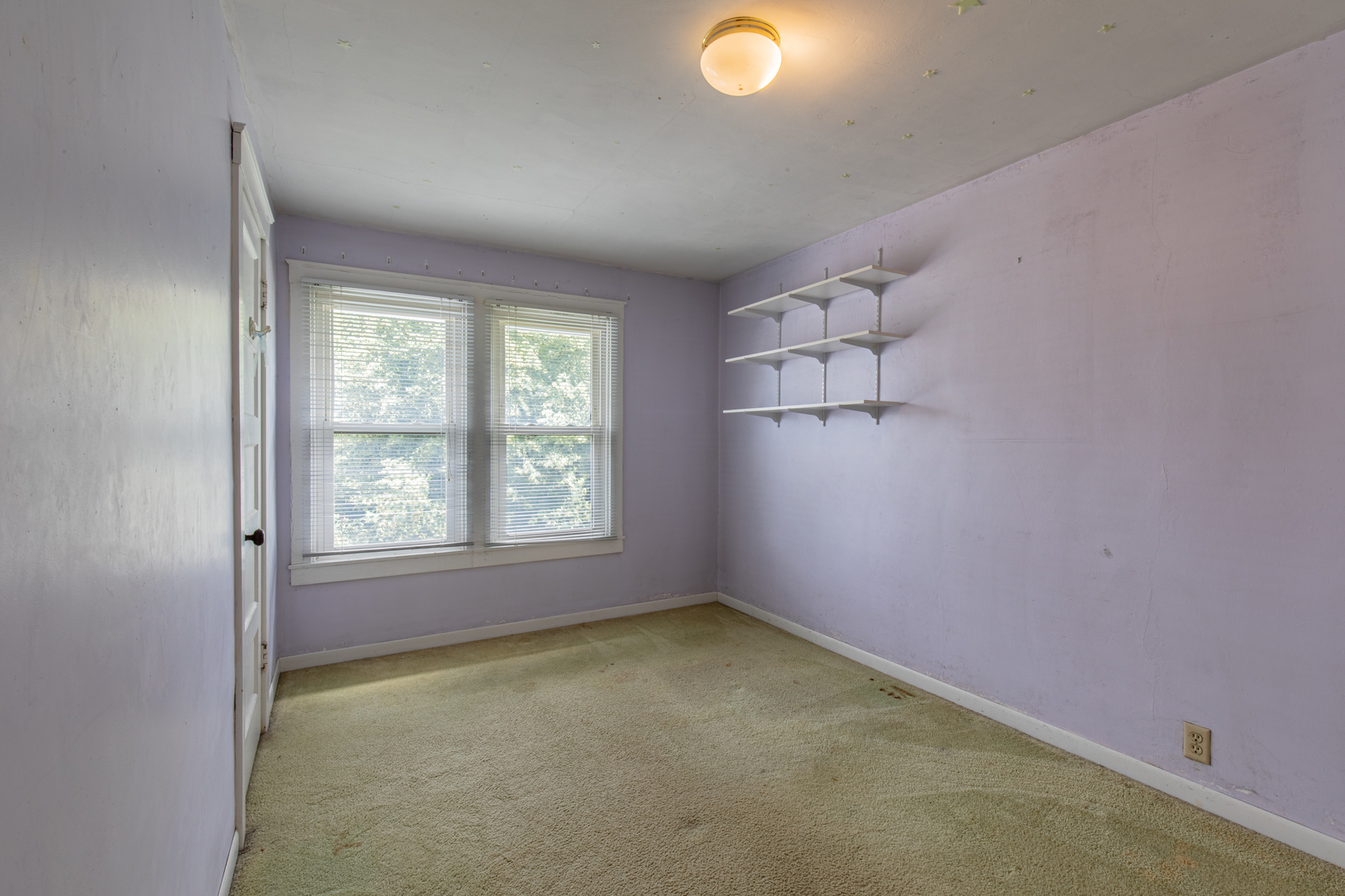 Gallery Image 16