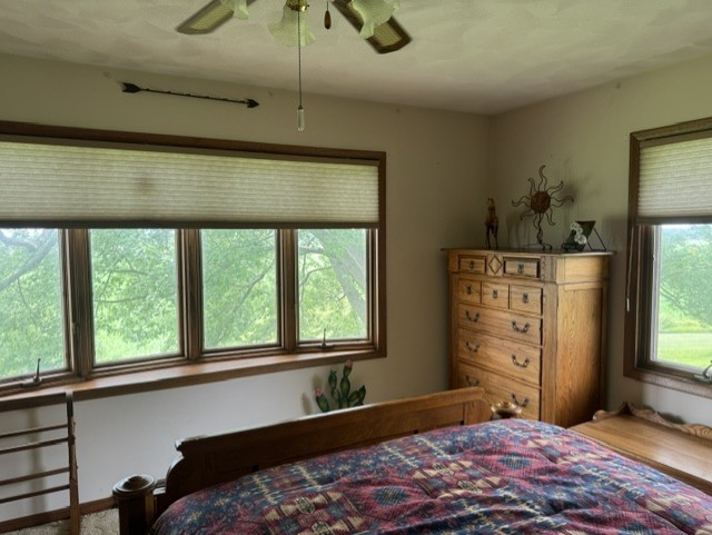 Gallery Image 31