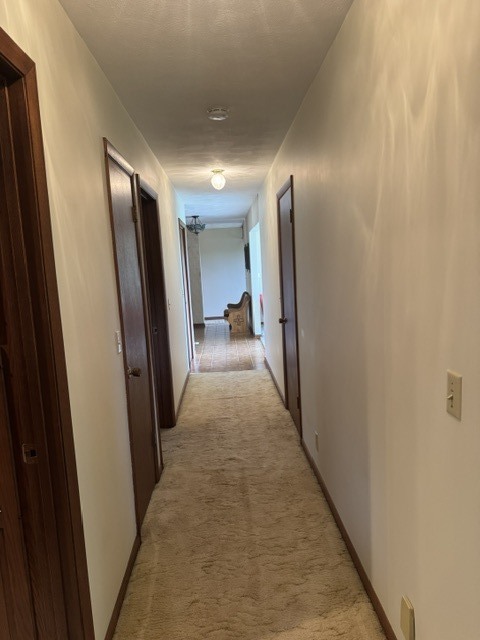 Gallery Image 43