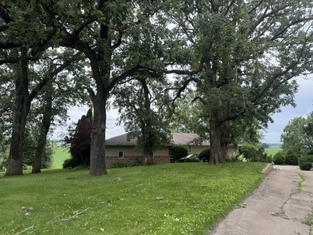 Gallery Image 49