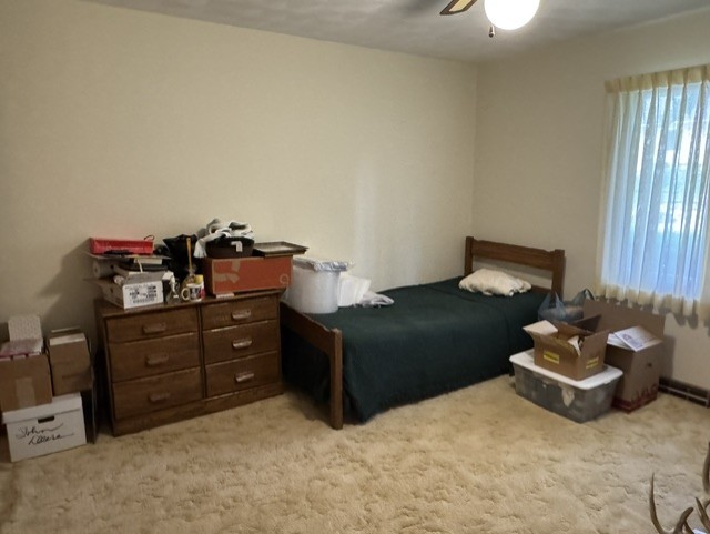 Gallery Image 38