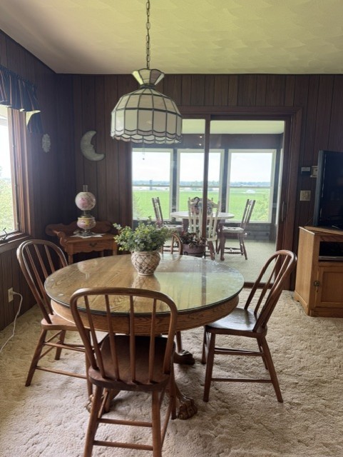Gallery Image 17