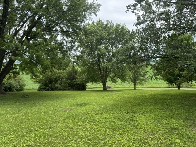 Gallery Image 7